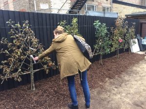 Tree planting