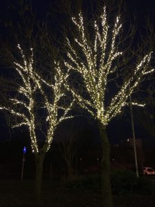 Cowdenbeath Tree Lights: Ash